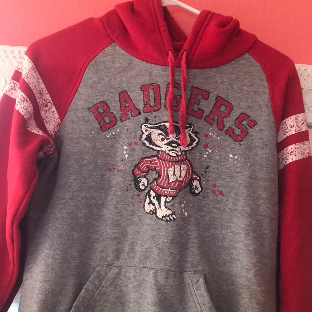 Wisconsin Badgers 🦡 hoodie, Soffe brand, size M